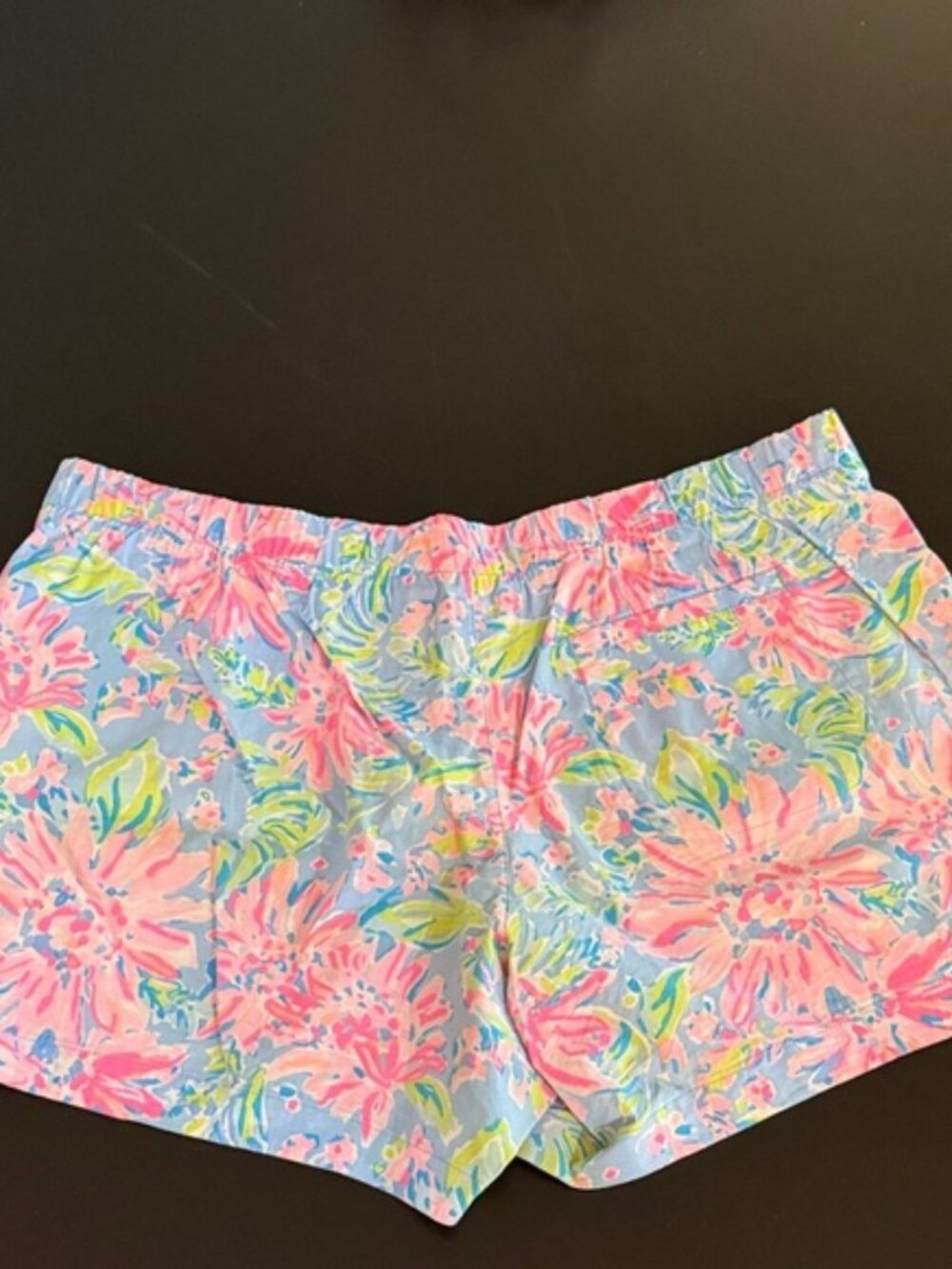 Lilly Pulitzer Pink and Blue Floral Shorts